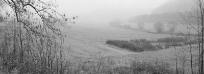 In the Train, somewhere between Jaroměř and Trutnov III, 2007