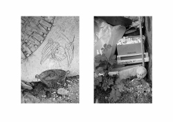 Diptych-Zurich-1980-Zurich-1981