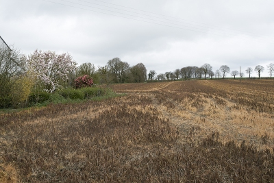 Canihuel, département du Côtes-d'Armor, 2014