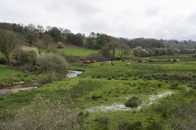 Senven-Léhart, département du Côtes-d'Armor, 2014