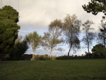 Near Plouha, département du Côtes-d'Armor, 2021