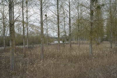 La Meurthe, Moncel-lés-Lunéville, 2016