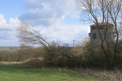 Between Quevilloncourt and Tantonville, 2016