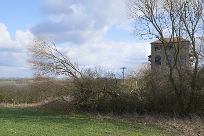 Near Quevilloncourt, 2016