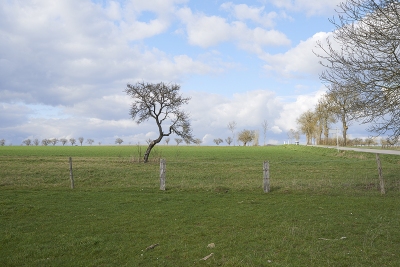Near Diarville, 2015