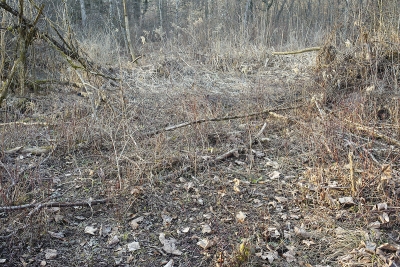 February 2011