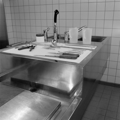 Morgue, St Gallen, 2001