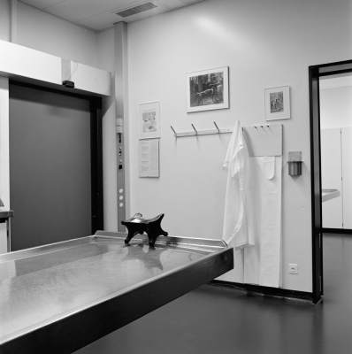 Morgue, Zurich III,  2001