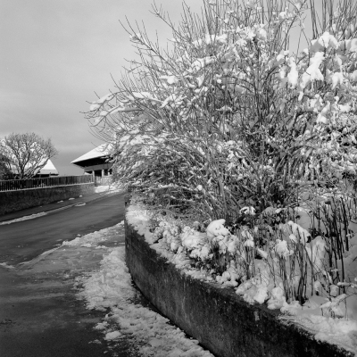 Ringlikon I, Canton of Zurich, 2004
