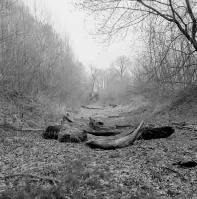 Veľkolélsky Ostrov I, 1993