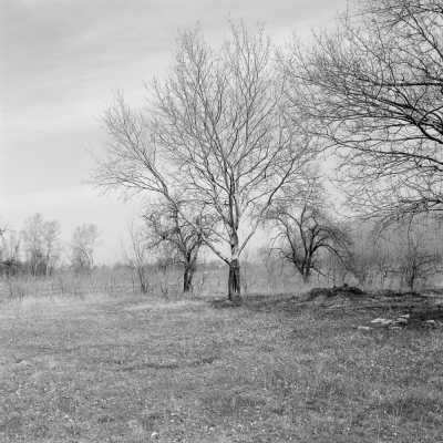 Klížska Nemá, 1993