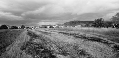 Pernek, 2006