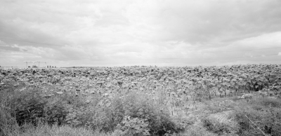 Malacky, 2006