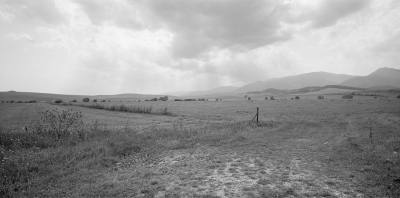 Laskár, 2006