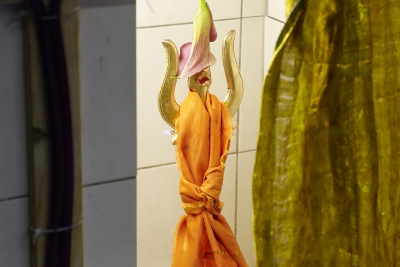 Kalyaana Subramanya Swami Hindu Temple, Bern, 2011