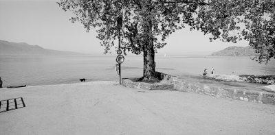 Vevey, Canton of Vaud, 2005