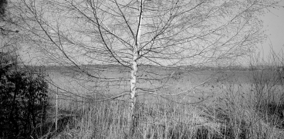 Greifensee II, Canton of Zurich, 2006