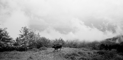 Stalden, Canton of Obwalden, 2005