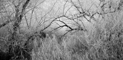 Near Frauenfeld II, Canton of Thurgau, 2006