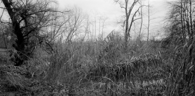 Near Frauenfeld I, Canton of Thurgau, 2006