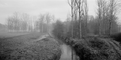 Near Frauenfeld III, Canton of Thurgau, 2006