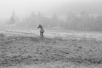 Czech-landscapes-hodkovice-lipscher